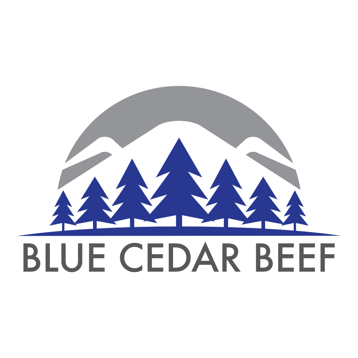Sous Vide Stew – Blue Cedar Beef